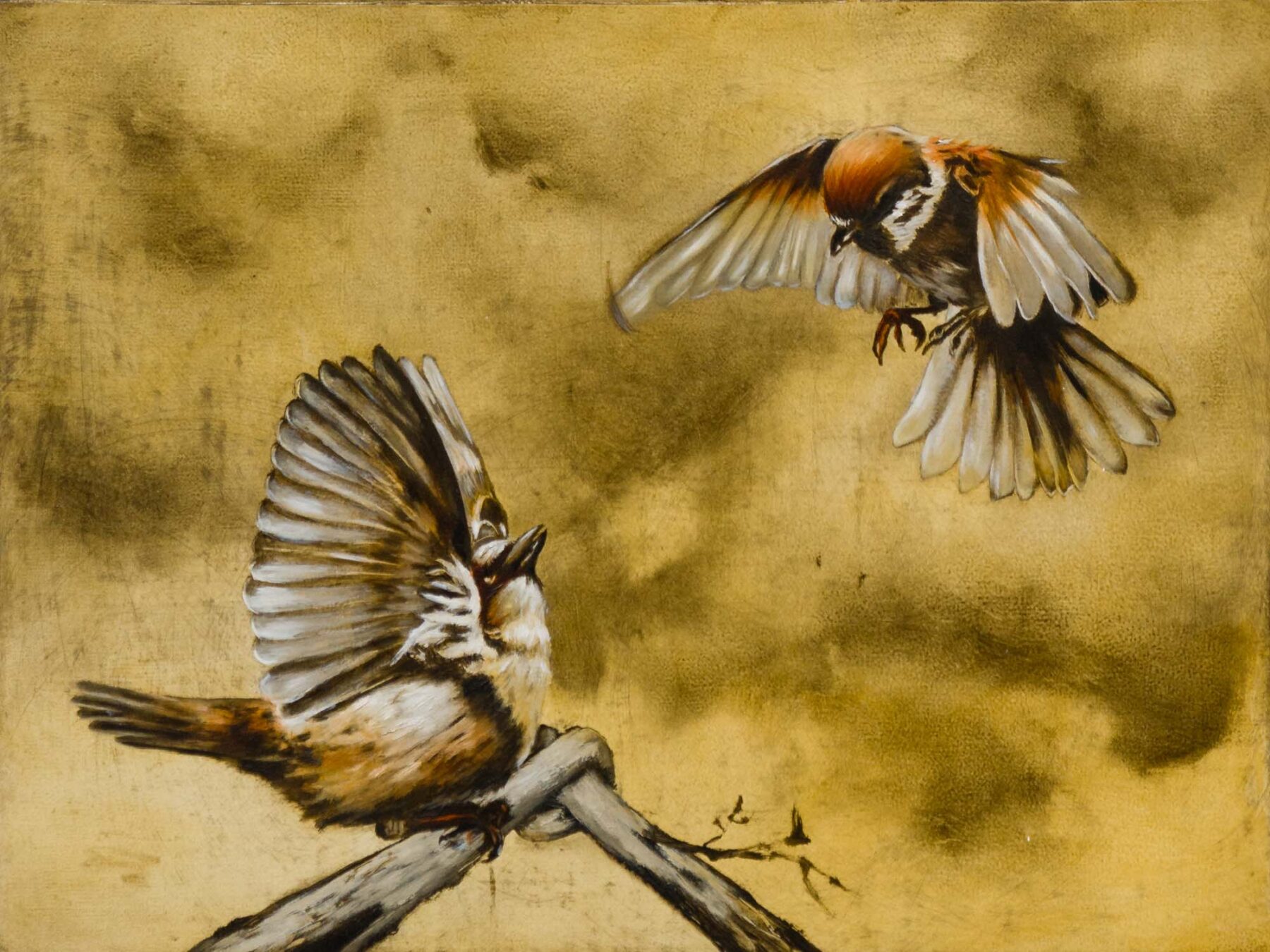 Vogel 3